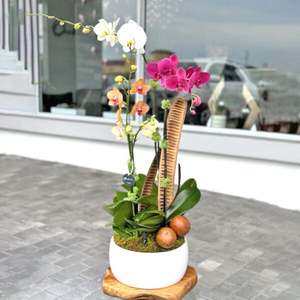 Colorful Orchids Arrangements