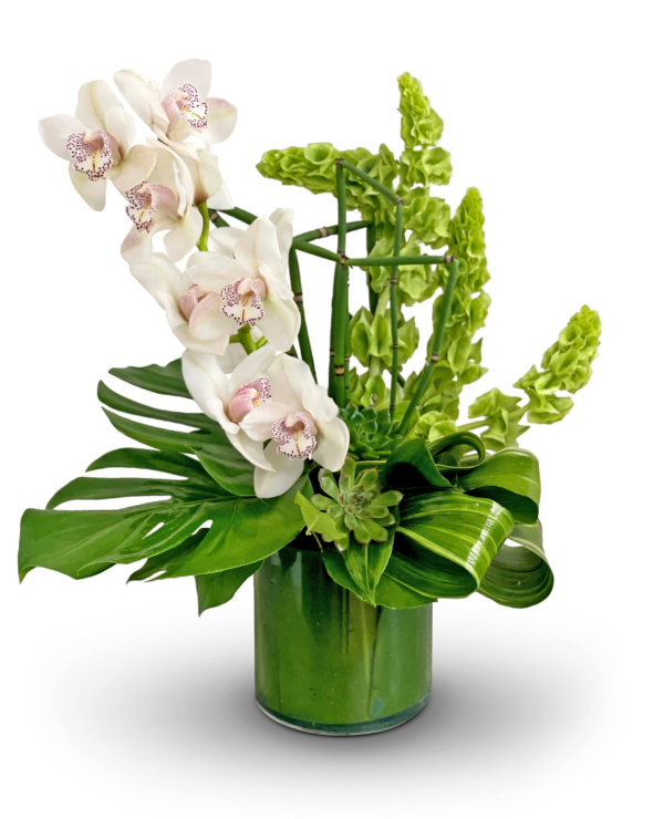 Elegance-in-Green-boca-raton-florist.webp