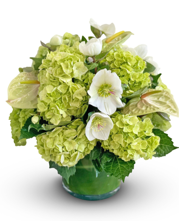 Green-Haven-orchids--boca-raton-florist