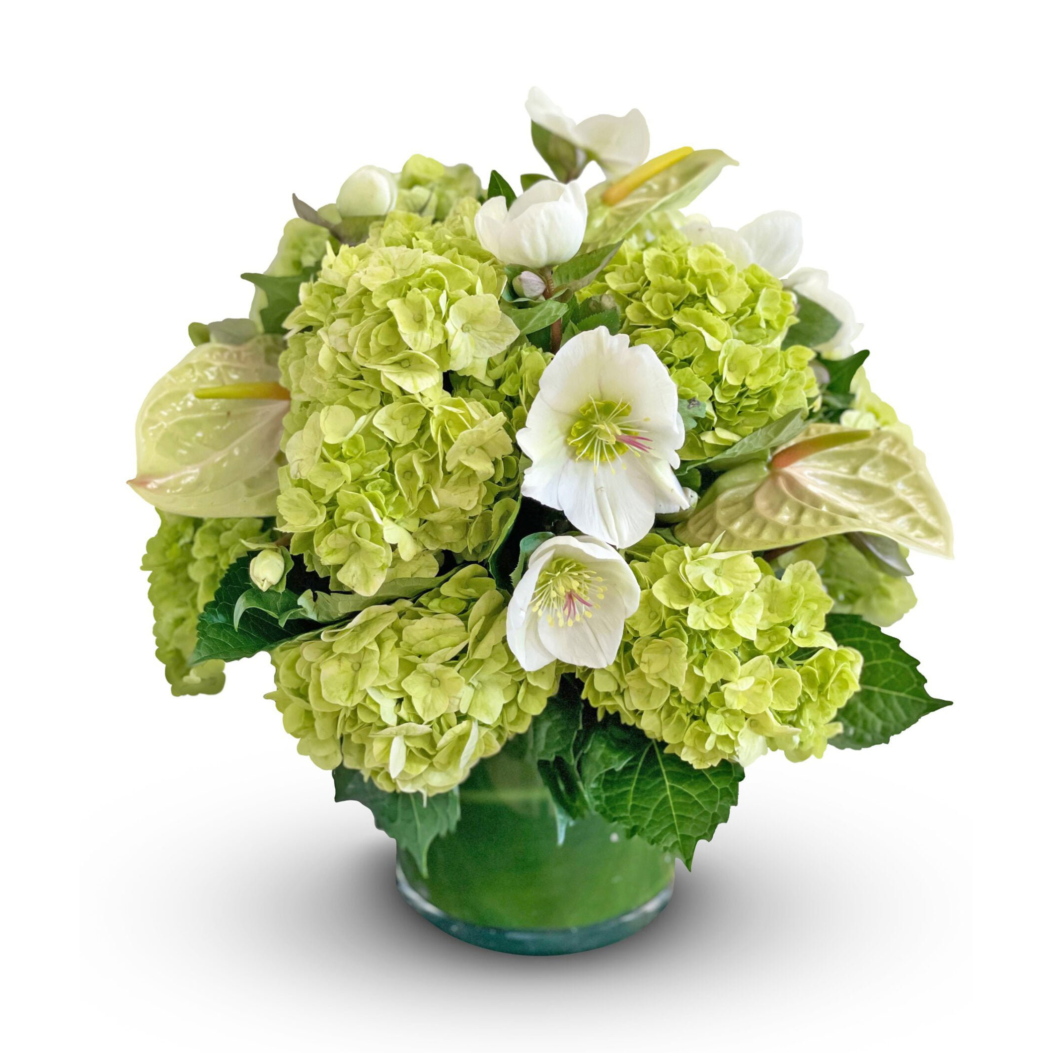 Green-Haven-orchids--boca-raton-florist