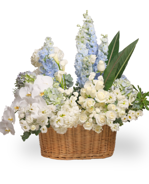 Serenity roses