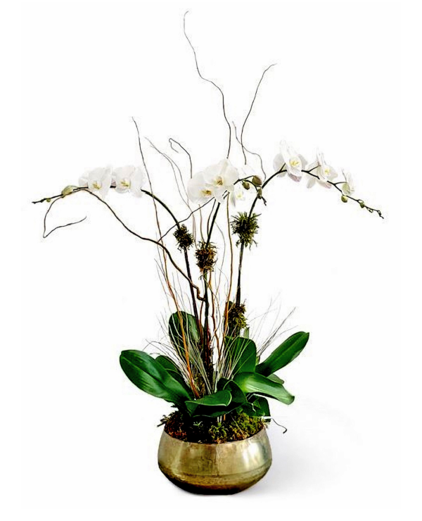 amelia-boca-raton-florist