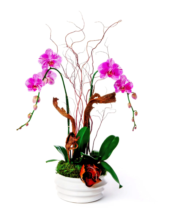 aphrodite-boca-raton-florist