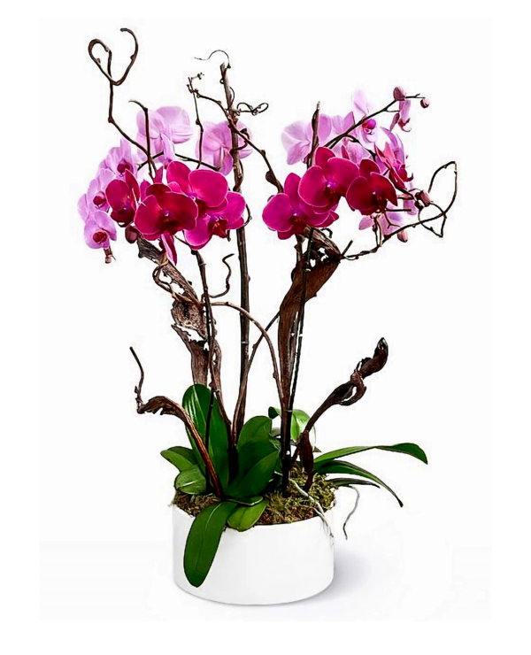 ariana-boca-raton-florist