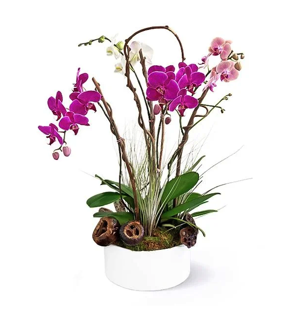 arina-boca florist2