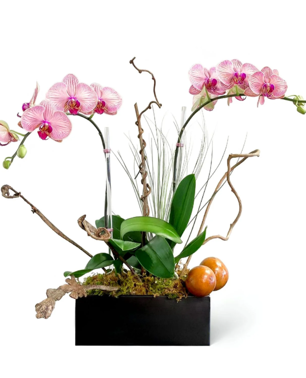 avery--boca-raton-florist