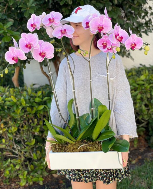 flowers west palm beach
