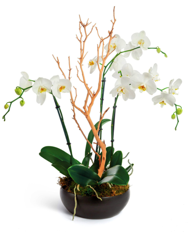 bloomung-1-boca-raton-florist