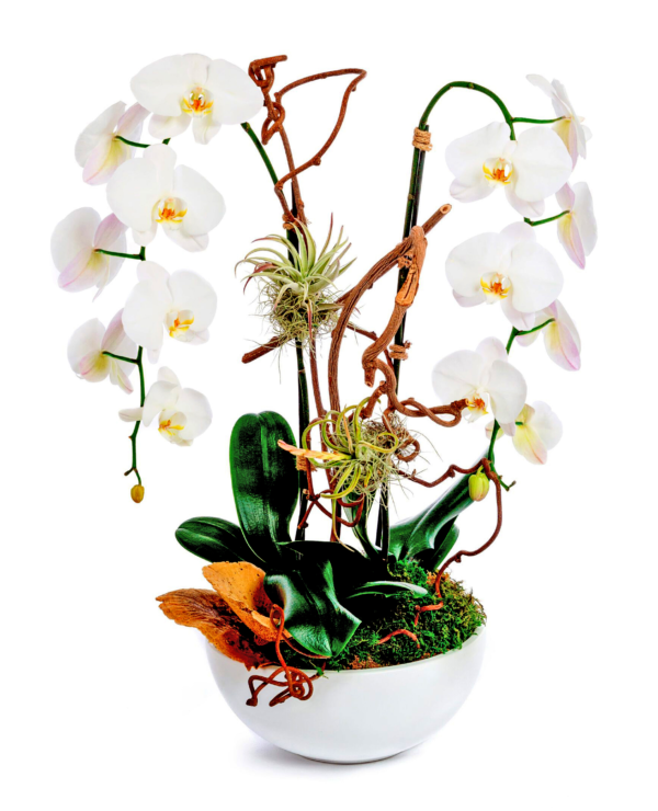 harmony-1-boca-raton-florist