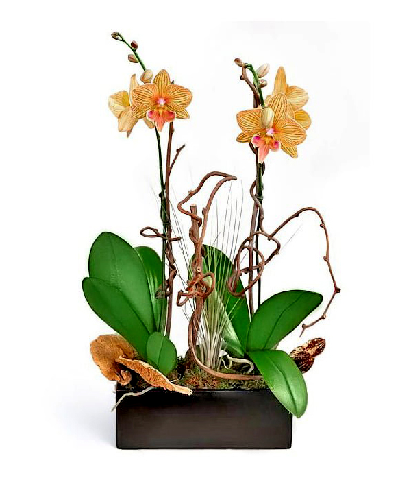 naturally-elegant--boca-raton-florist