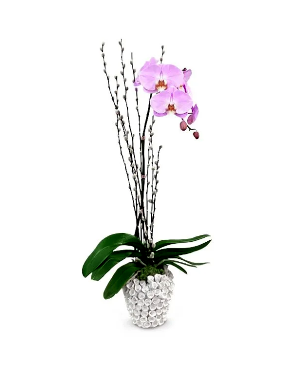 nessie-1-boca-raton-florist