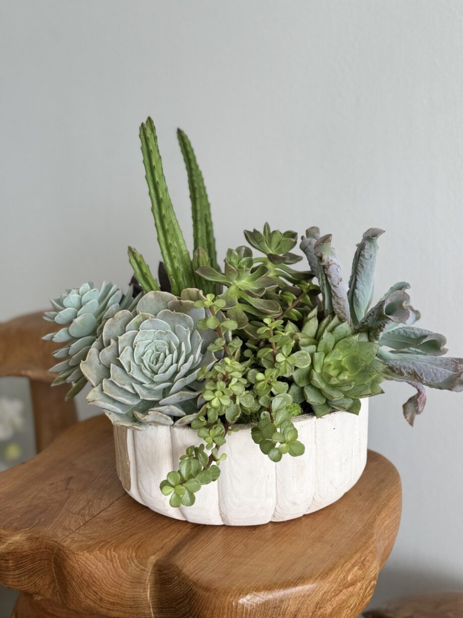 Unique 10 Succulents Arrangement