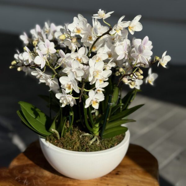 flowers west palm beach
