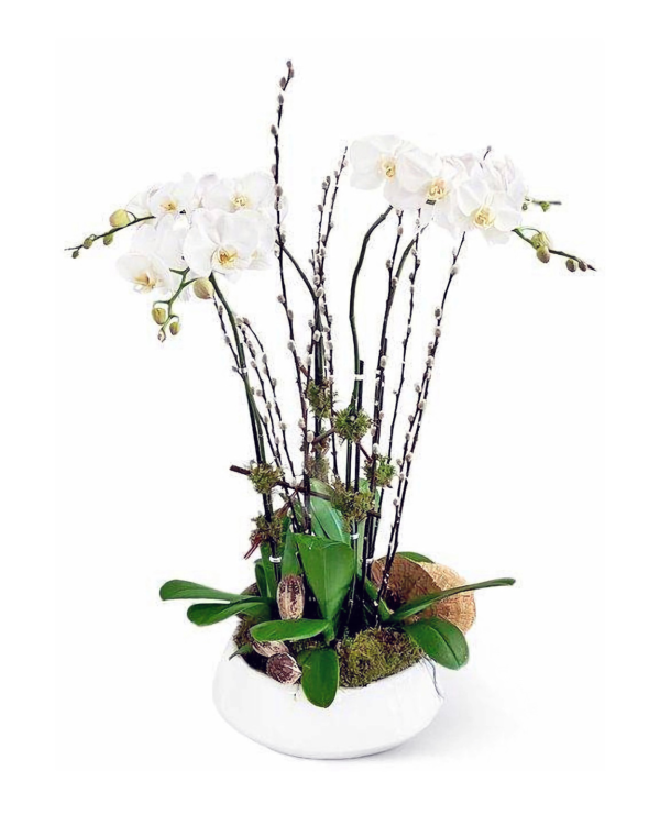 royal-bliss-1-boca-raton-florist