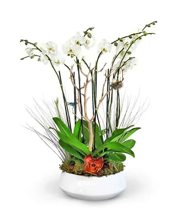 tara-o-boca-raton-florist