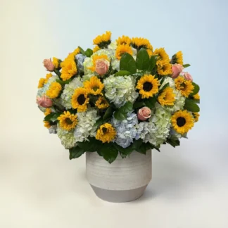 Luxury of Sun palm beach