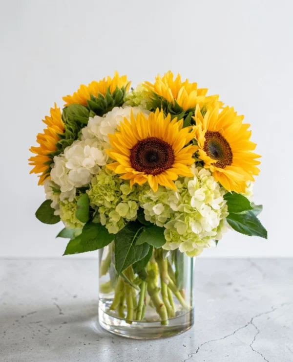 Sunflowers- Hydrangeas
