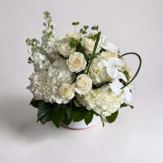 white flowers of west palm beach