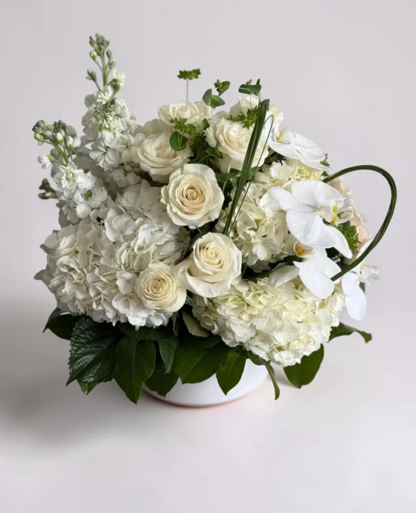 white flowers of west palm beach