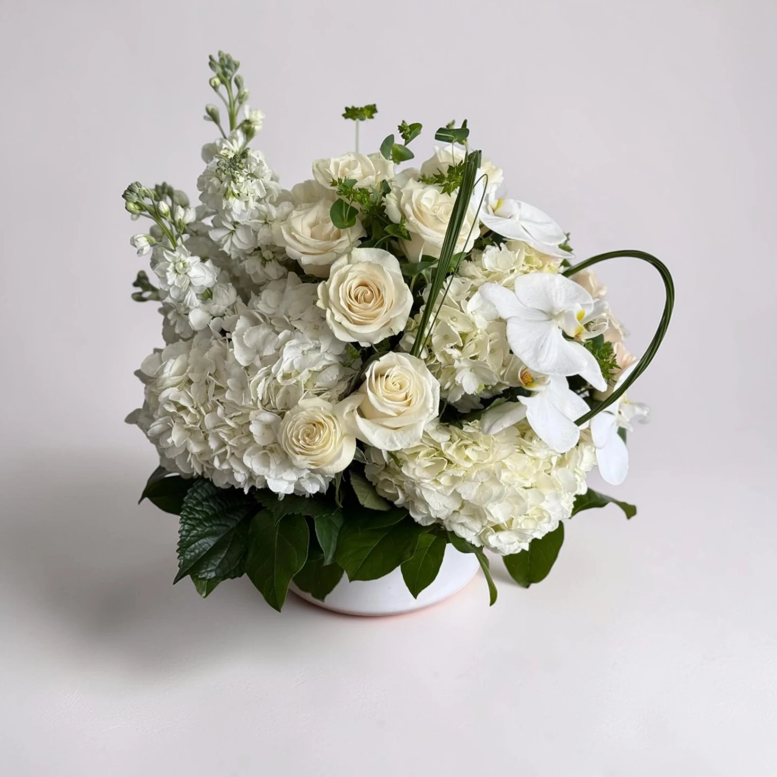 white flowers of west palm beach